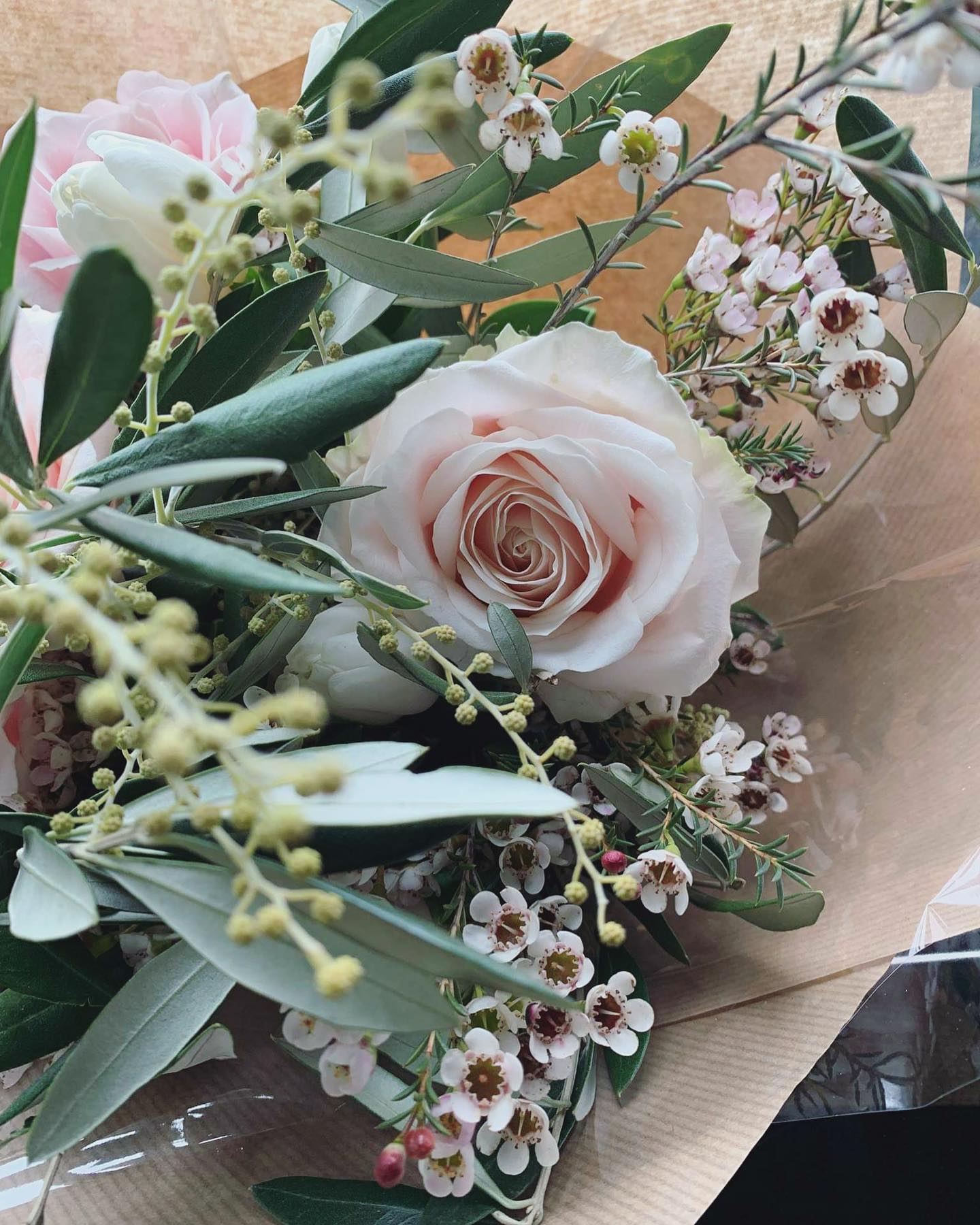 Johnny's Little Sister